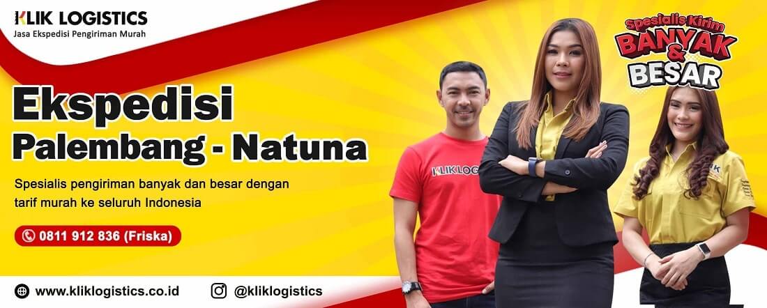 ekspedisi palembang natuna