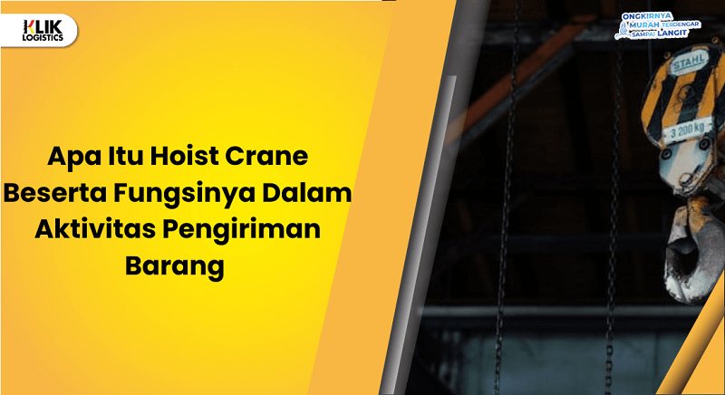 apa itu hoist crane